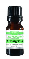 Eucalyptus Essential Oil - (150 bottles - 10 mL each) - Ready to Label Eucalyptus Essential Oil - (150 bottles - 10 mL each) - Ready to Label